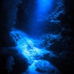 沖縄ダイビング