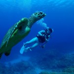 沖縄ダイビング