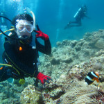 沖縄　体験ダイビング