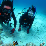 慶良間　体験ダイビング