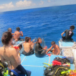 沖縄ダイビング