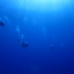 沖縄　ダイビング