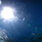 慶良間　スノーケル