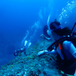 沖縄　ダイビング