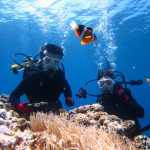沖縄　体験ダイビング
