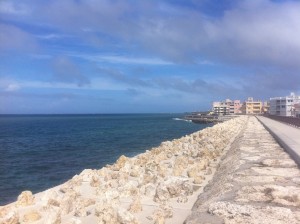 沖縄　ダイビング