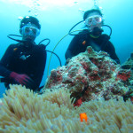 沖縄　体験ダイビング