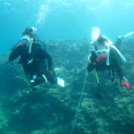 沖縄　ダイビング