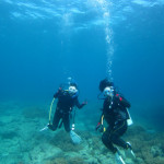 沖縄　ダイビング
