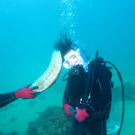 沖縄　ダイビング