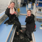 沖縄　体験ダイビング