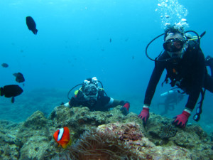 沖縄　体験ダイビング