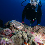 沖縄　ダイビング