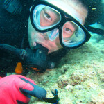 沖縄　体験ダイビング