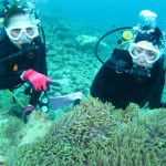 沖縄　体験ダイビング