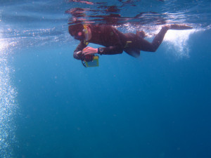 沖縄　ダイビング