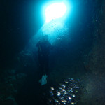 沖縄　ダイビング