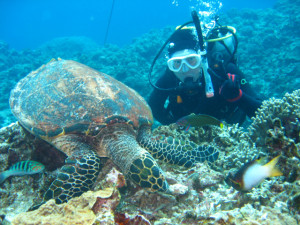 沖縄　体験ダイビング