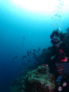 沖縄　体験ダイビング