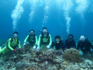 沖縄　体験ダイビング