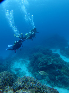 沖縄　体験ダイビング