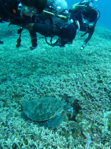 沖縄　体験ダイビング