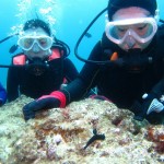 沖縄　体験ダイビング