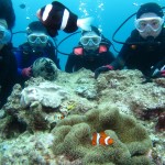 沖縄　体験ダイビング