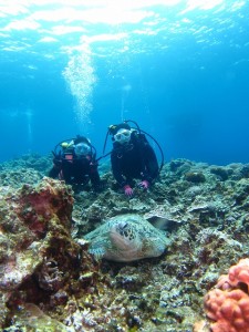 沖縄　体験ダイビング