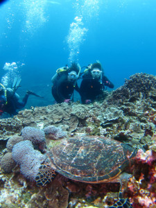 沖縄　体験ダイビング
