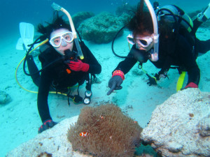 沖縄　ダイビング