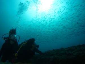 沖縄　体験ダイビング