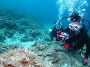 沖縄　体験ダイビング