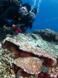 沖縄　体験ダイビング