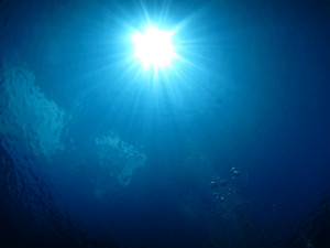 沖縄　体験ダイビング