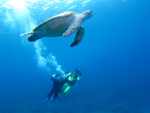 沖縄　体験ダイビング