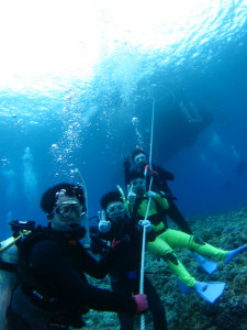 沖縄　体験ダイビング