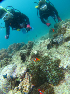 沖縄　体験ダイビング