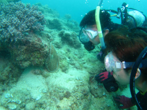 沖縄　ダイビング