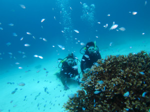 沖縄　体験ダイビング