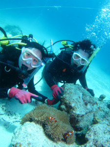 沖縄　体験ダイビング