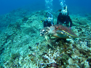 沖縄　体験ダイビング