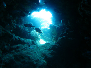 沖縄　ダイビング