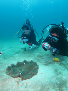 沖縄　ダイビング