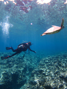 沖縄　ダイビング