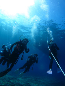 沖縄　ダイビング