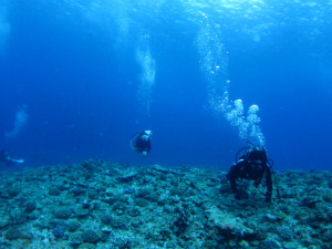 沖縄　ダイビング