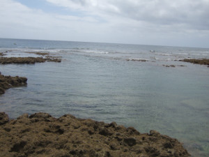 沖縄ダイビング