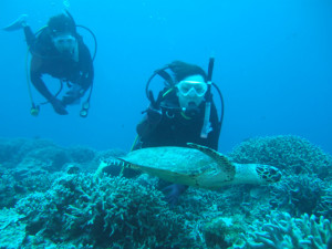 沖縄　体験ダイビング