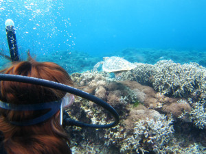 沖縄　体験ダイビング